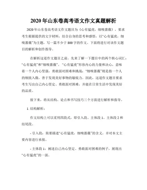 2020年山东卷高考语文作文真题解析