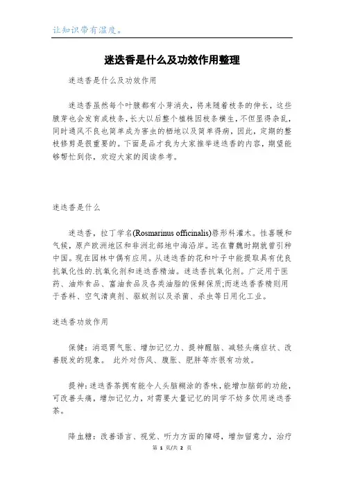迷迭香是什么及功效作用整理