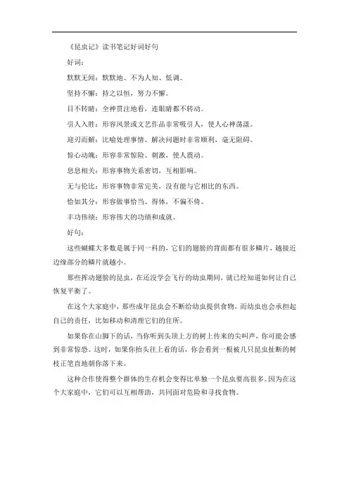 昆虫记读书笔记好词好句