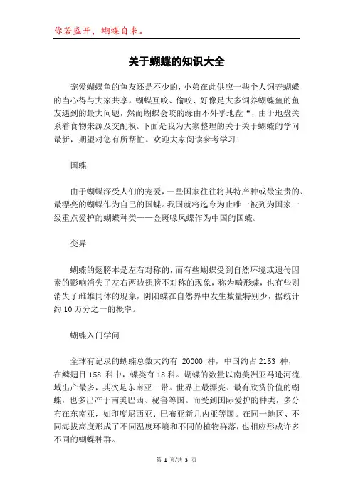关于蝴蝶的知识大全