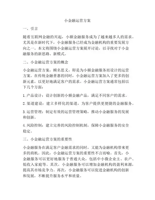 小金融运营方案