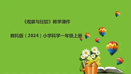 教科版(2024)小学科学一年级上册《观察与比较》教学课件