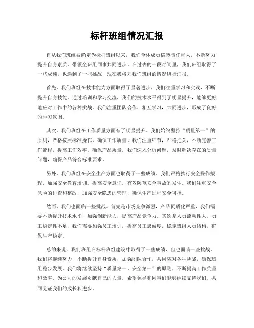 标杆班组情况汇报