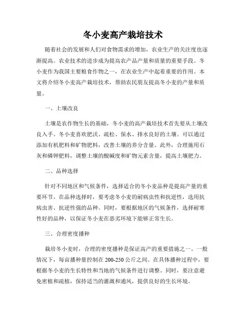 冬小麦高产栽培技术