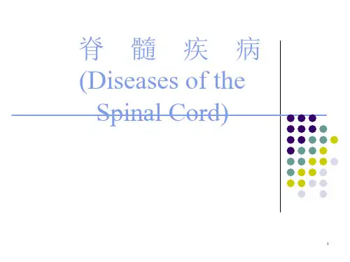 脊髓疾病护理查房课件