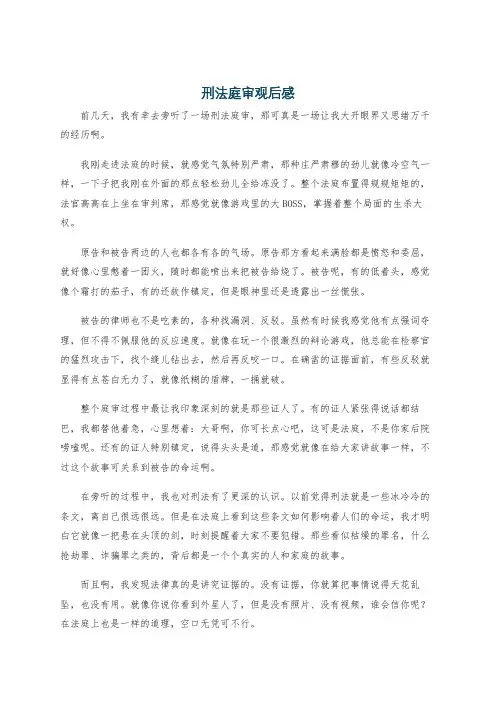 刑法庭审观后感