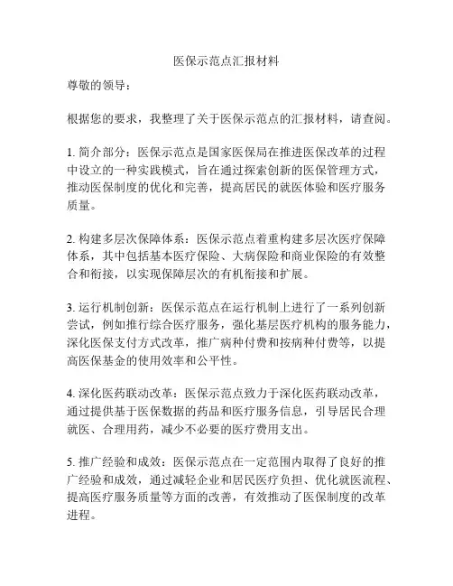 医保示范点汇报材料