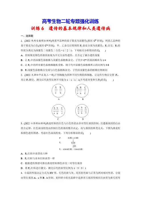 高考生物二轮专题强化训练6 遗传的基本规律和人类遗传病