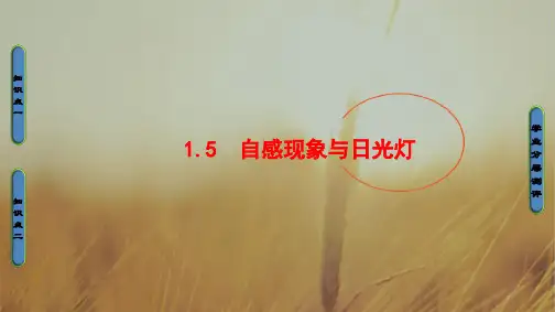 2017-2018学年沪科版高中物理选修3-2课件：第1章 1-5 自感现象与日光灯 精品