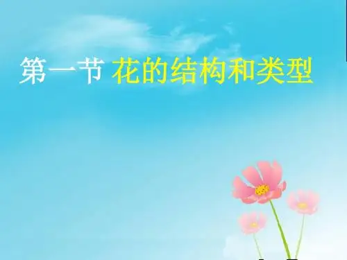 【初中生物】花的结构和类型PPT课件8