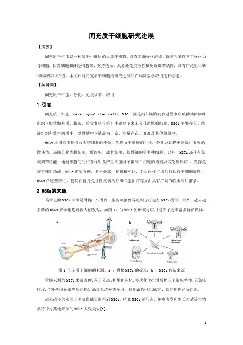 间充质细胞