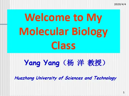 分子生物学(杨洋)第七章 翻译-1