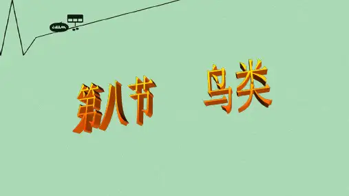 七年级生物上册 1.4.8  鸟类课件 (新版)冀教版