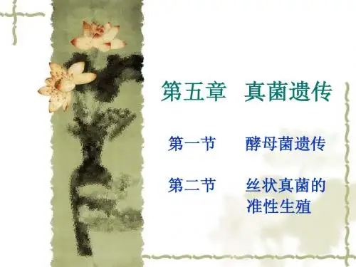 微生物遗传学M.G.第五章 真菌遗传