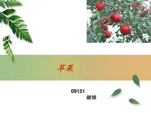 苹果