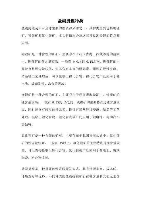 盐湖提锂种类