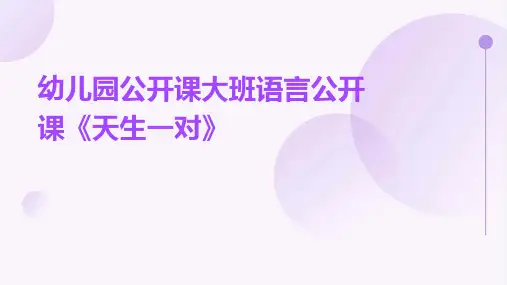 幼儿园公开课大班语言公开课《天生一对》