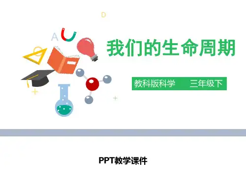 2我们的生命周期PPT课件