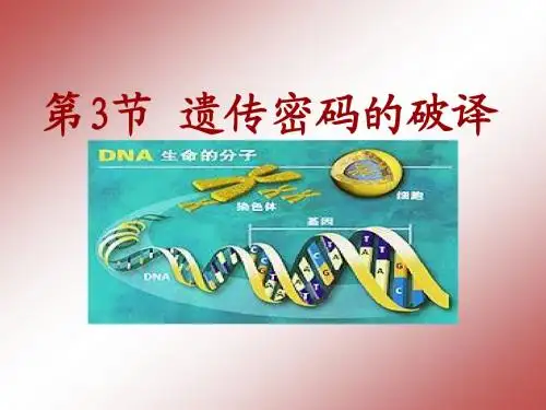 第3节 遗传密码的破译