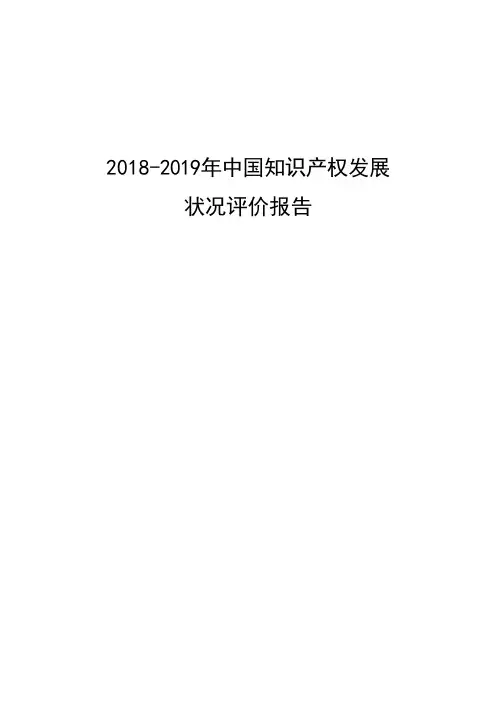 2018-2019年中国知识产权发展状况评价报告