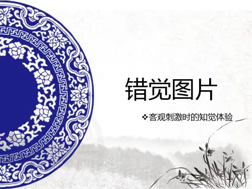 错觉图片PPT课件