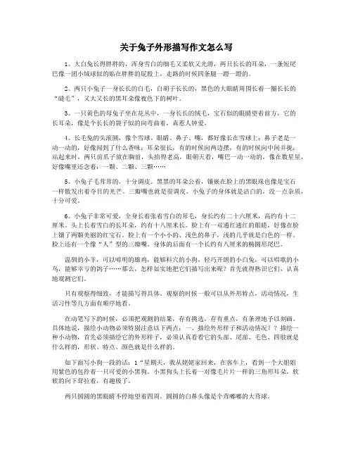 关于兔子外形描写作文怎么写