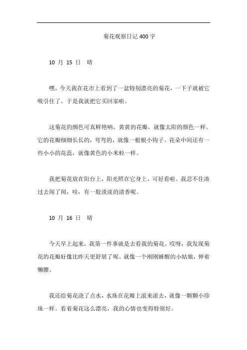 菊花观察日记400字