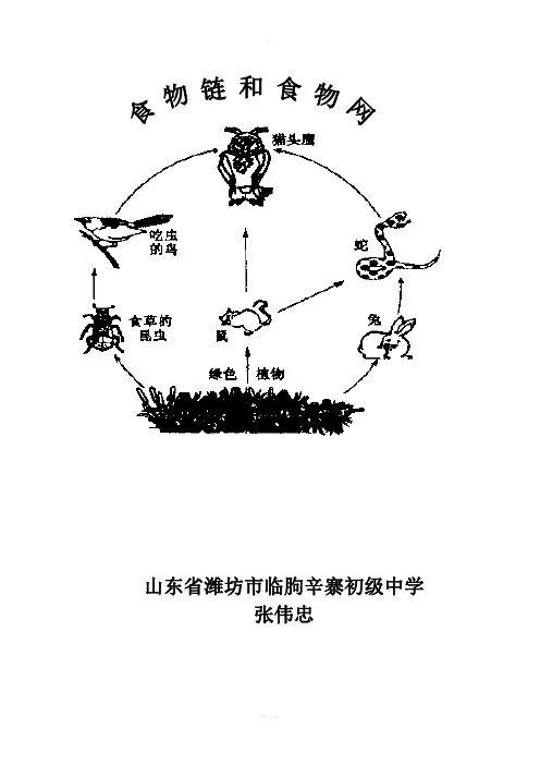 济南版八年级生物《食物链和食物网》教案