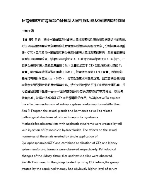 补肾健脾方对肾病综合征模型大鼠性腺功能及病理结构的影响