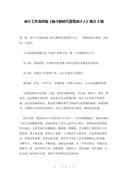 审计工作演讲稿《奋斗新时代真情审计人》集合3篇
