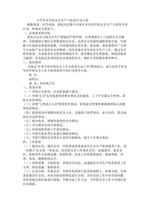 小学岁末年初安全大检查行动方案