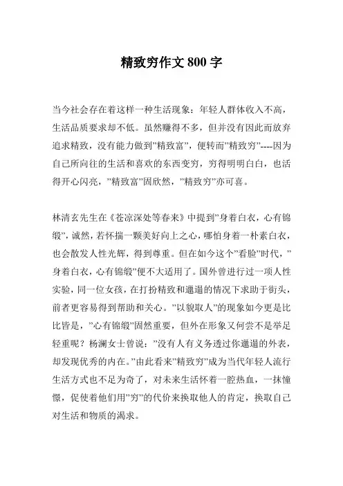 精致穷作文800字