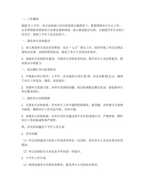审计法制上半年工作总结