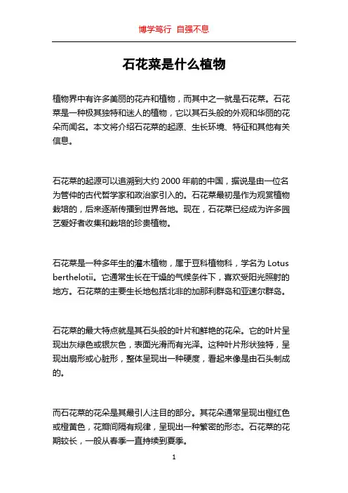石花菜是什么植物
