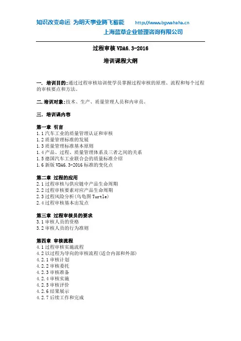 V—63  VDA 6.3  过程审核(2016版)2