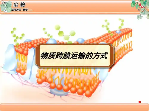 生物学必修1 物质跨膜运输的方式