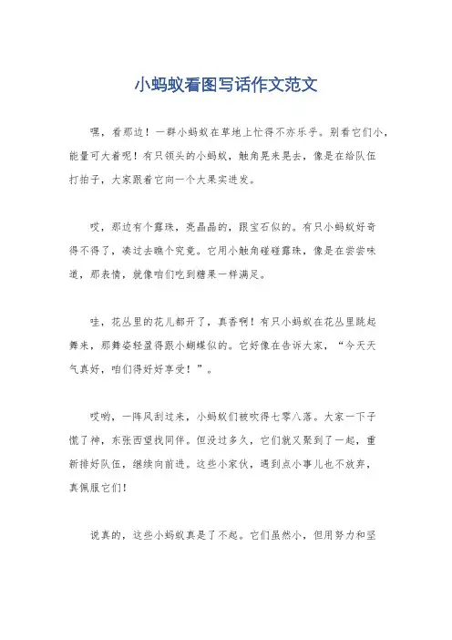 小蚂蚁看图写话作文范文