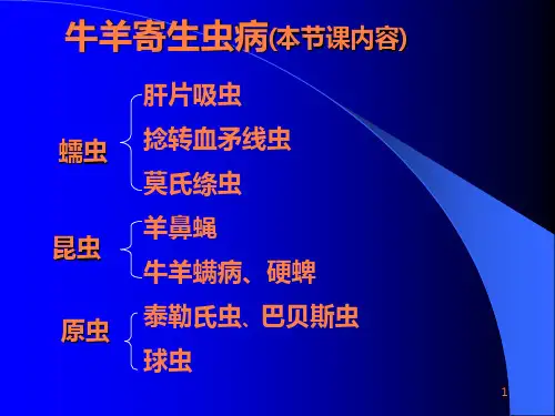 牛羊病寄生虫病PPT课件