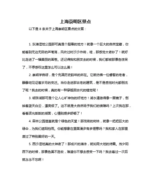 上海崇明区景点