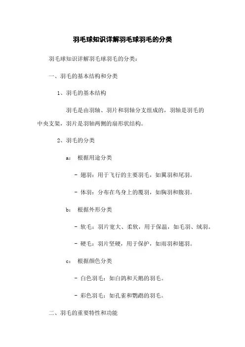 羽毛球知识详解羽毛球羽毛的分类