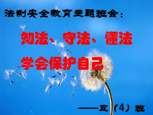小学生法制安全教育主题班会ppt课件