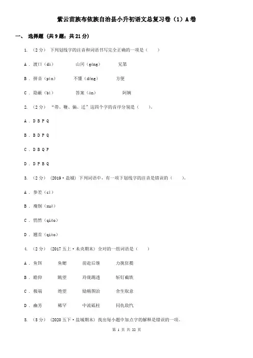 紫云苗族布依族自治县小升初语文总复习卷(1)A卷