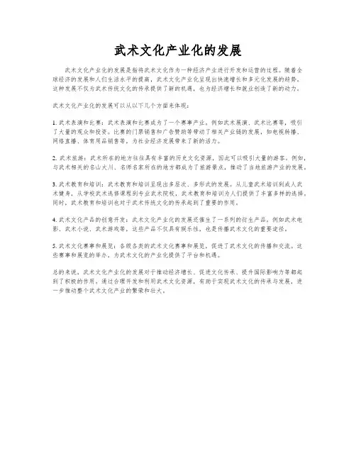 武术文化产业化的发展