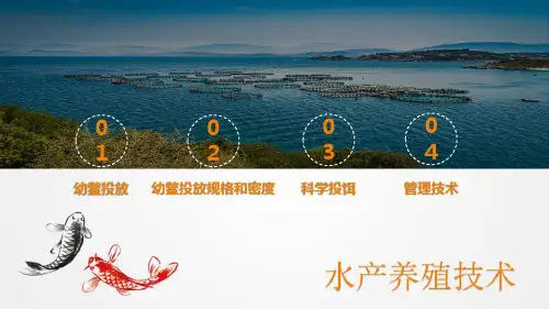 中华鳖的生态养殖技术—成鳖生态养殖与管理技术