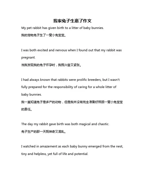 我家兔子生崽了作文