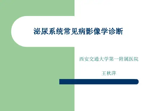 泌尿系常见病诊断