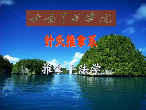 推拿手法学手法基础理论手法与推拿流派PPT课件