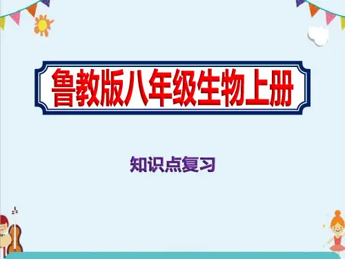 鲁教版八年级上册生物知识点复习课件PPT