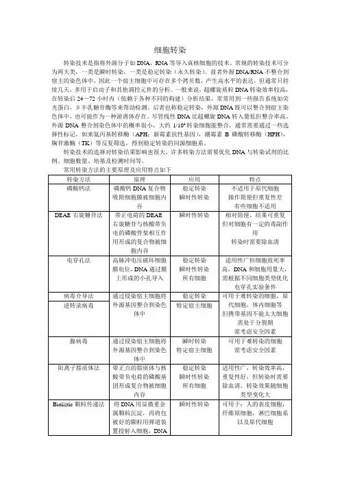 细胞转染