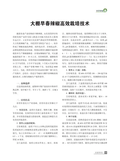 大棚早春辣椒高效栽培技术